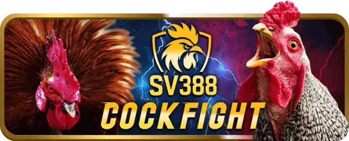 Các chương trình khuyến mãi đá gà hấp dẫn tại 88vin chính thức